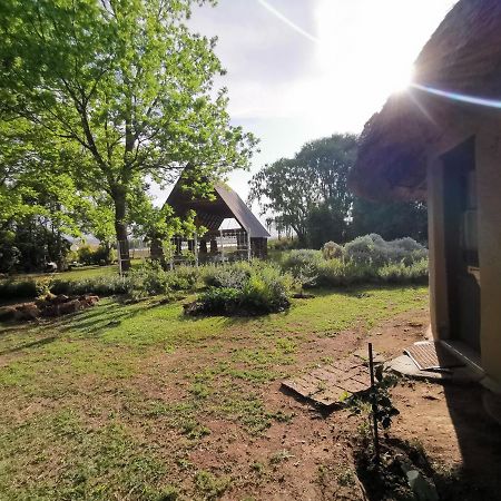Drakensberg Bush Lodge And Backpackers Winterton Esterno foto